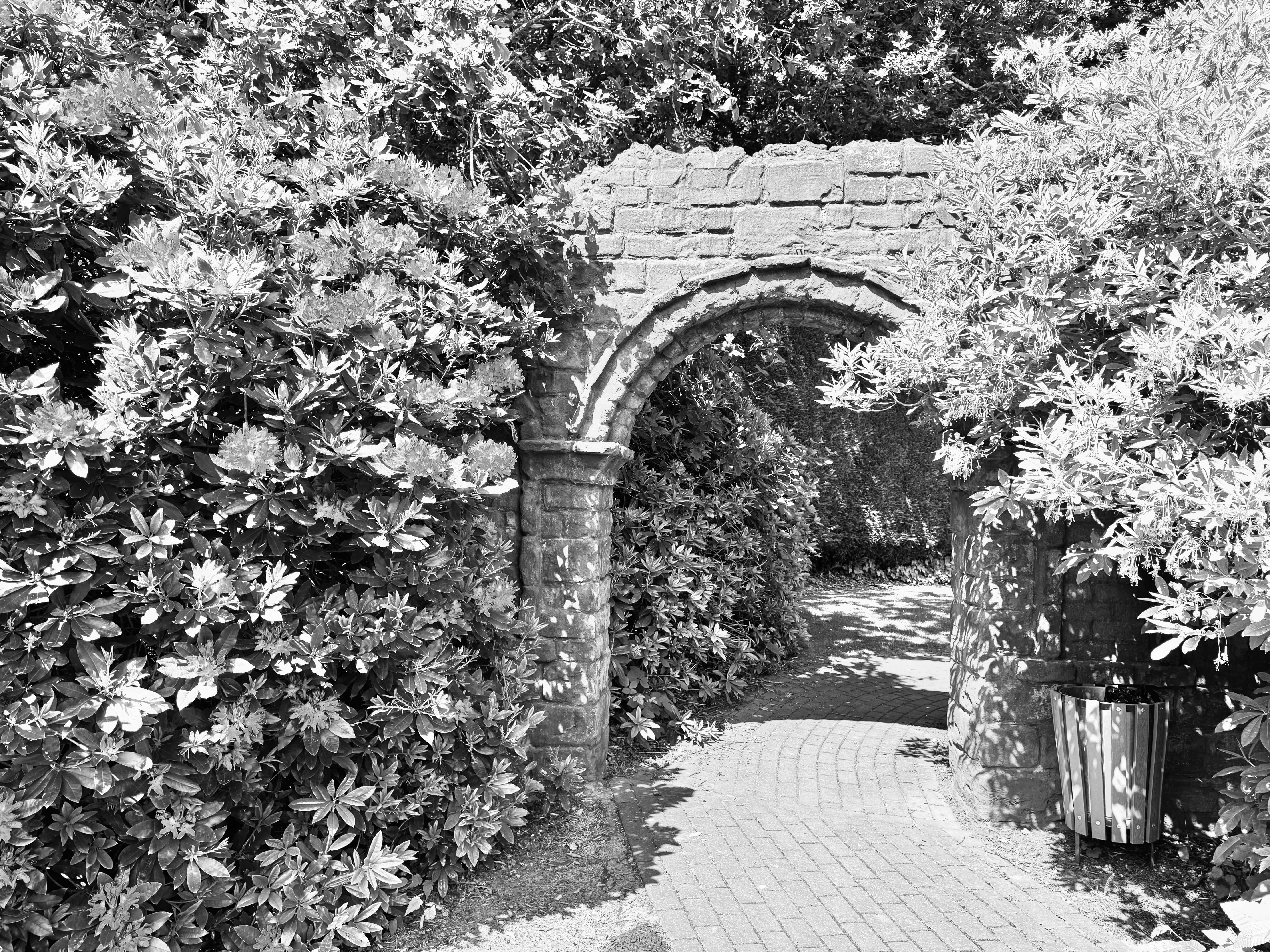 Scenic Film Location
